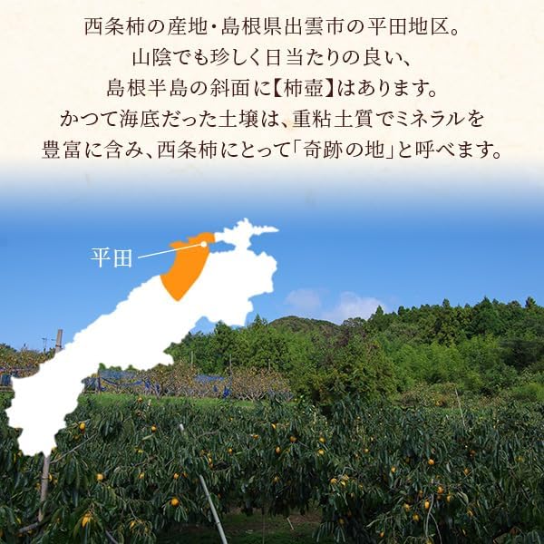 風味絶佳.山陰 Persimmon Farm "Kakitsubo" Saijo Persimmon Dried Persimmons 6 Pieces (Simple Packaging) Semi-Dry Dried Fruit No Additives Shimane Prefecture Product Persimmon Dried Persimmon Dried Persimmon