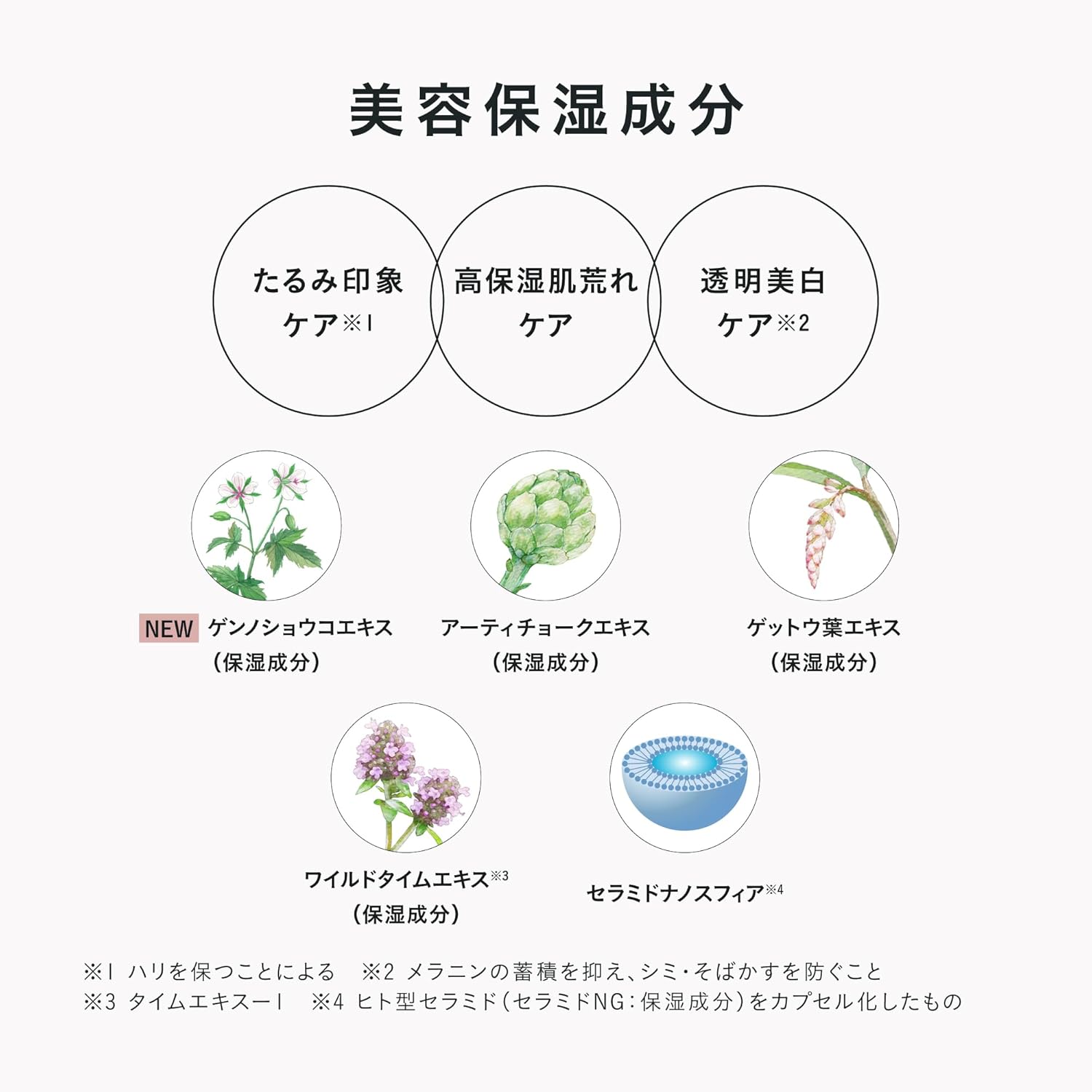 DECENCIA Brightlift Lotion Refill, Sample Present, Quasi-Drug Product, Lotion for Sensitive Skin, 4.1 fl oz (120 ml), Cream Pouch Included