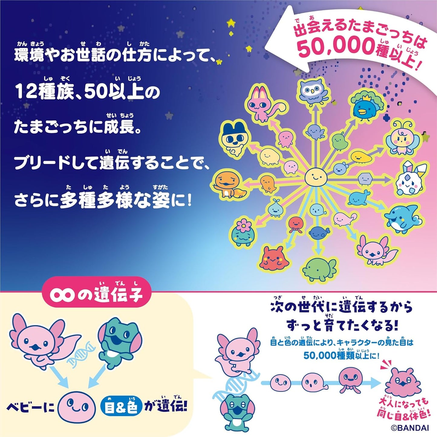 Tamagotchi Paradise - Purple Sky by Bandai: Takeshita☆Paradise & Shinako Special Set, Suitable for Ages 6 and Up