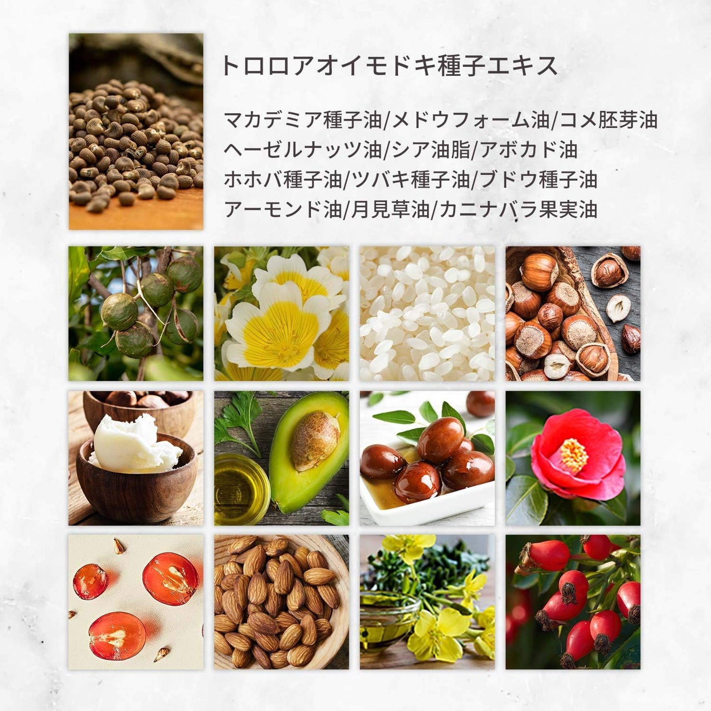 Rolo Shun All-in-One Gel (Tube Type), 6-in-1 Beauty Formulation, All-in-One Gel (Placenta/Proteoglycan), Sensitive Skin, Additive-Free