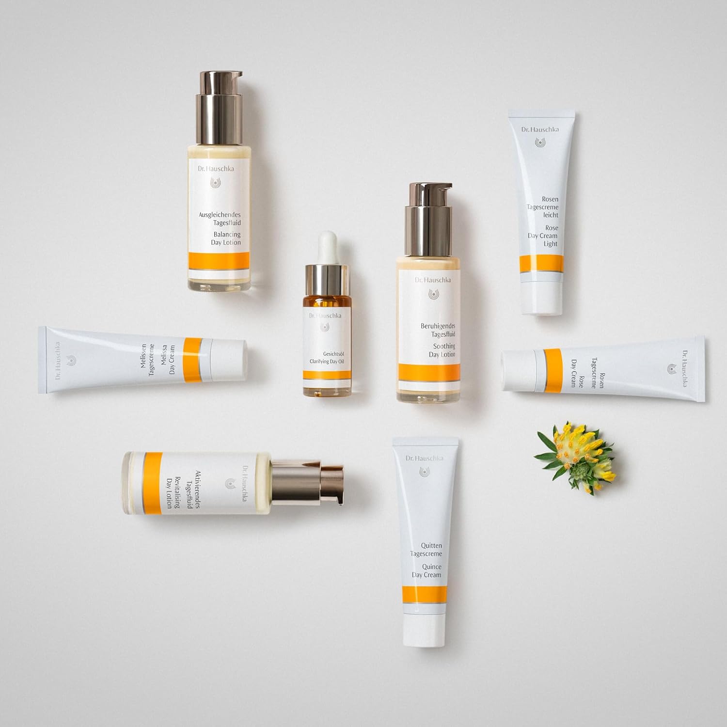 Dr. Hauschka Rose Day Cream [Face Cream, Sensitive Skin, Ethanol Free] Cream Body