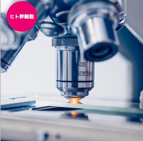 J.CELL First Gel, 1.1 oz (30 g), Human Stem Cells, Made in Japan, Moisturizing, Kumejima Deep Sea Water, Vitamin B12