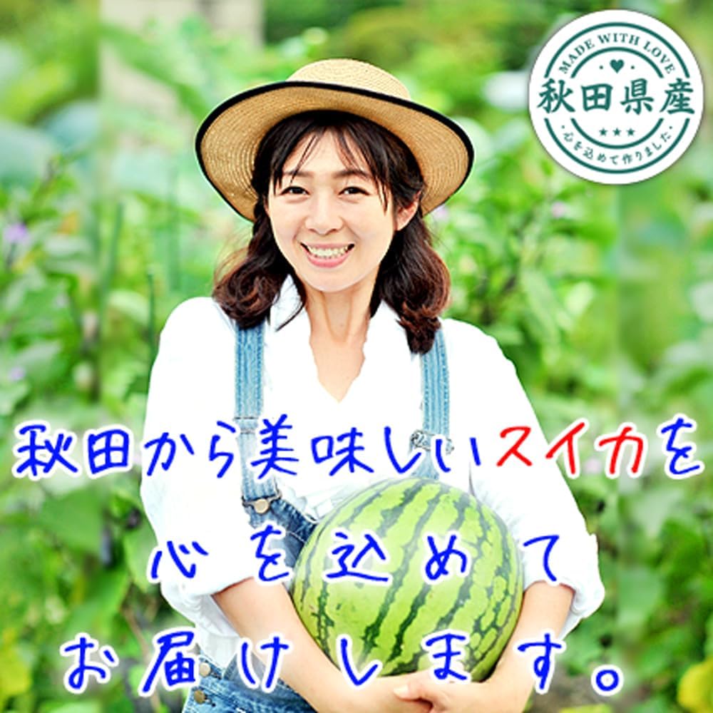 JA Komachi Akita Natsunamaru Chiche, Small Watermelon, Made in Akita Prefecture, L x 2 Balls, Approx. 11.0 lbs (5 kg) - 13.2 lbs (6 kg), Shipping Time: Mid July - Early August, Delivery Date cannot be specified