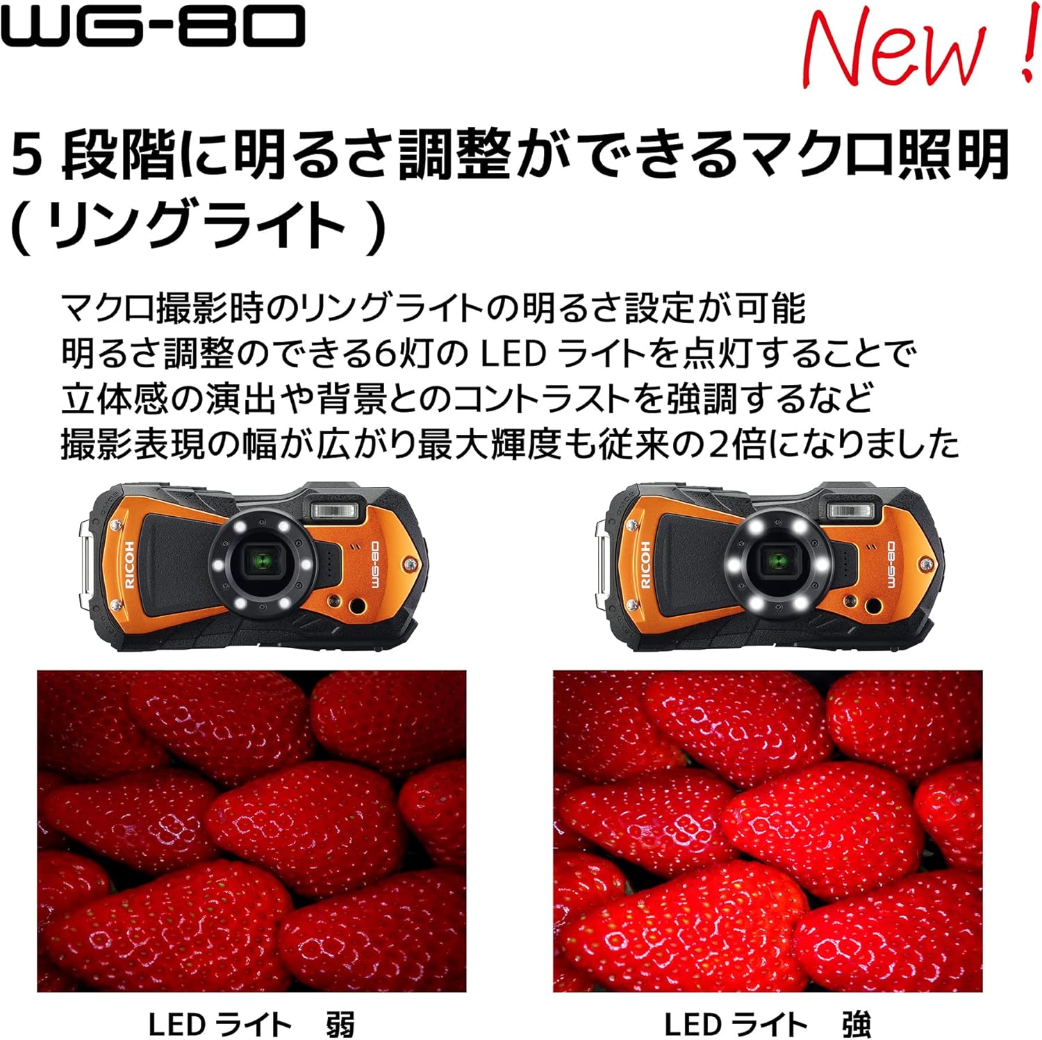 RICOH WG-80 ORANGE 3126 Authentic Waterproof Digital Camera, 39.8 ft (14 m) Waterproof (2 Hours Continuous), 3.6 ft (1.6 m), Shockproof, Dustproof, -10°C Cold Resistance, Toughness Body for Outdoor