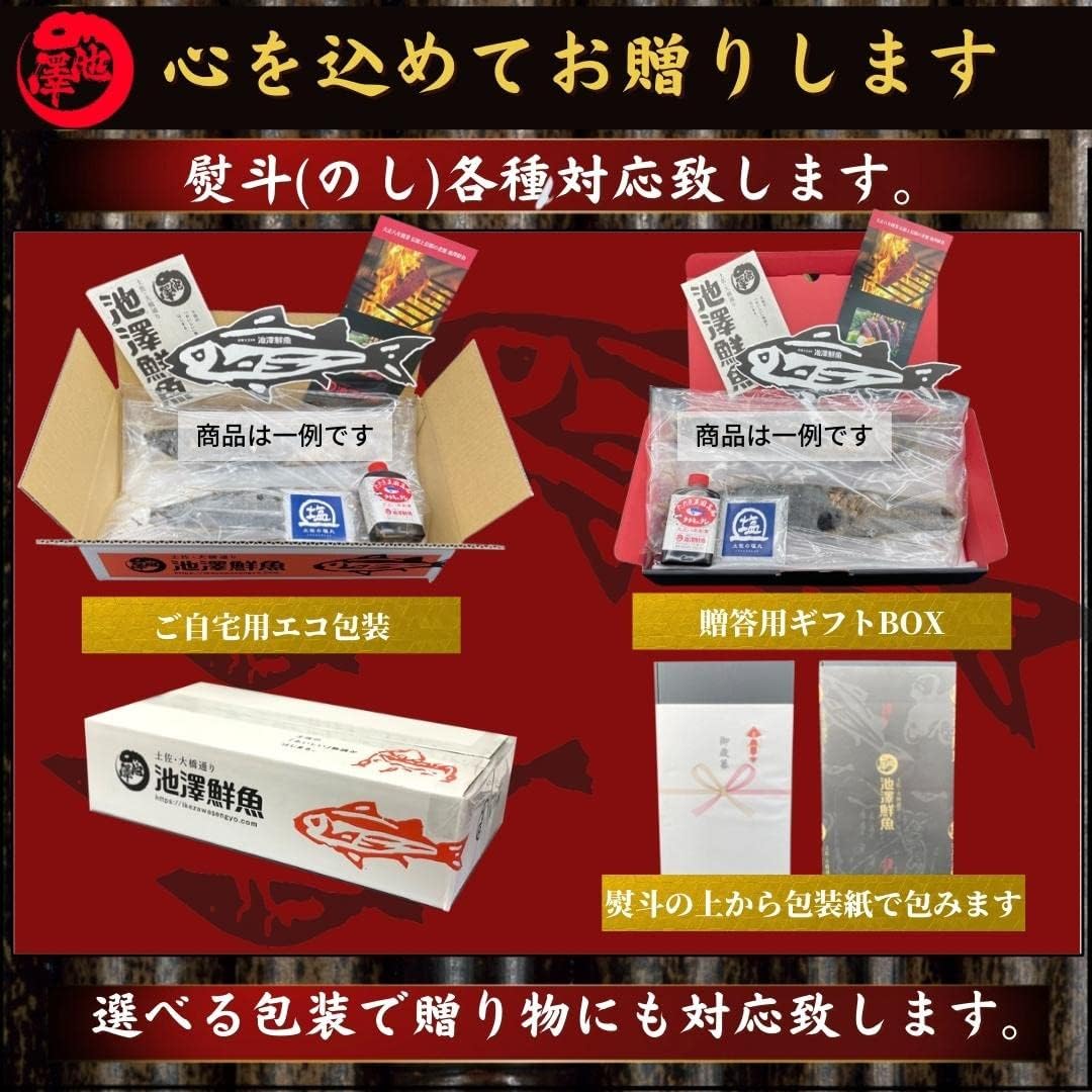 Kochi Prefecture First Bonito x Return Bonito, Complete Straw Grilled Tatake and Compare Set, 2 Sections Each, Birthday Gift (Eco Packaging for Home)