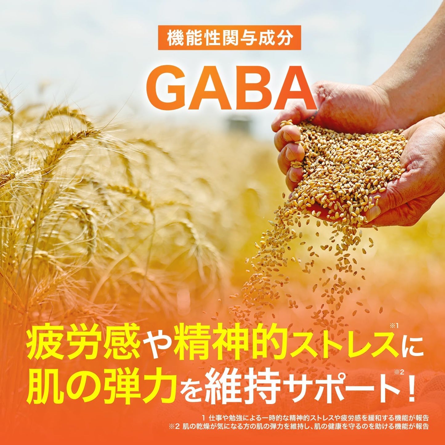 GABA K-1 Lactic Acid Bacteria & Ginkgo Leaf Blessing Food, Functional Claim, Convenient Intestinal Environment, Memory Power, Decision, Mental Stress & Fatigue, 60 Tablets