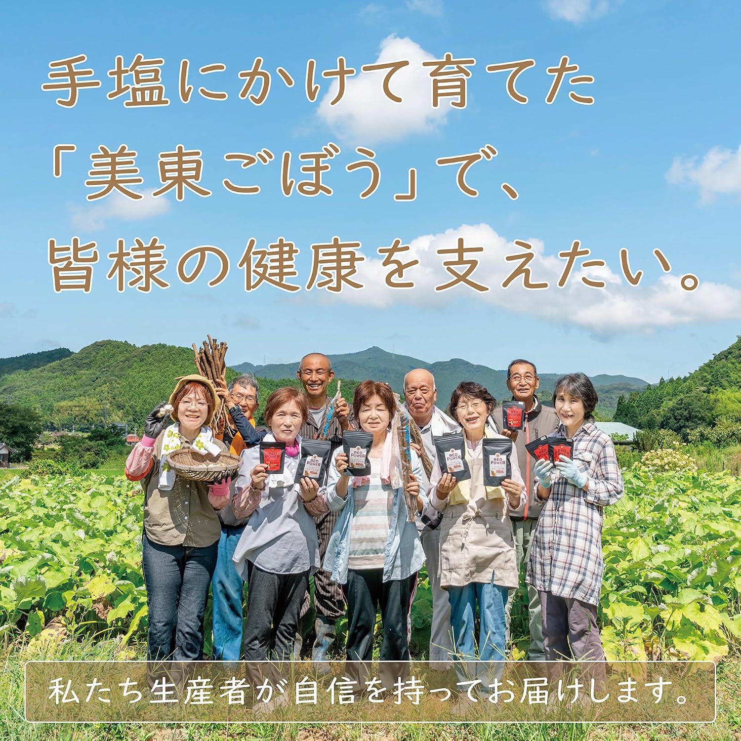 Yamaguchi Prefecture Souvenir Mido Burgundy Tea (Includes 5 Tea Bags), Made in Japan, 100% of Mico Burgundy, Yamaguchi Mishu City Tea Bag