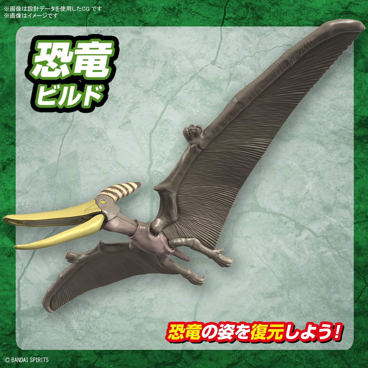 Bandai Spirits Planosaurus Pteranodon Color Coded Plastic Model