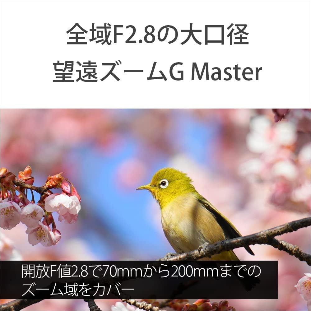 SONY(ソニー) 望遠ズームレンズ フルサイズ FE 70-200mm F2.8 GM OSS G Master デジタル一眼カメラα[Eマウント]用 純正レンズ SEL70200GM