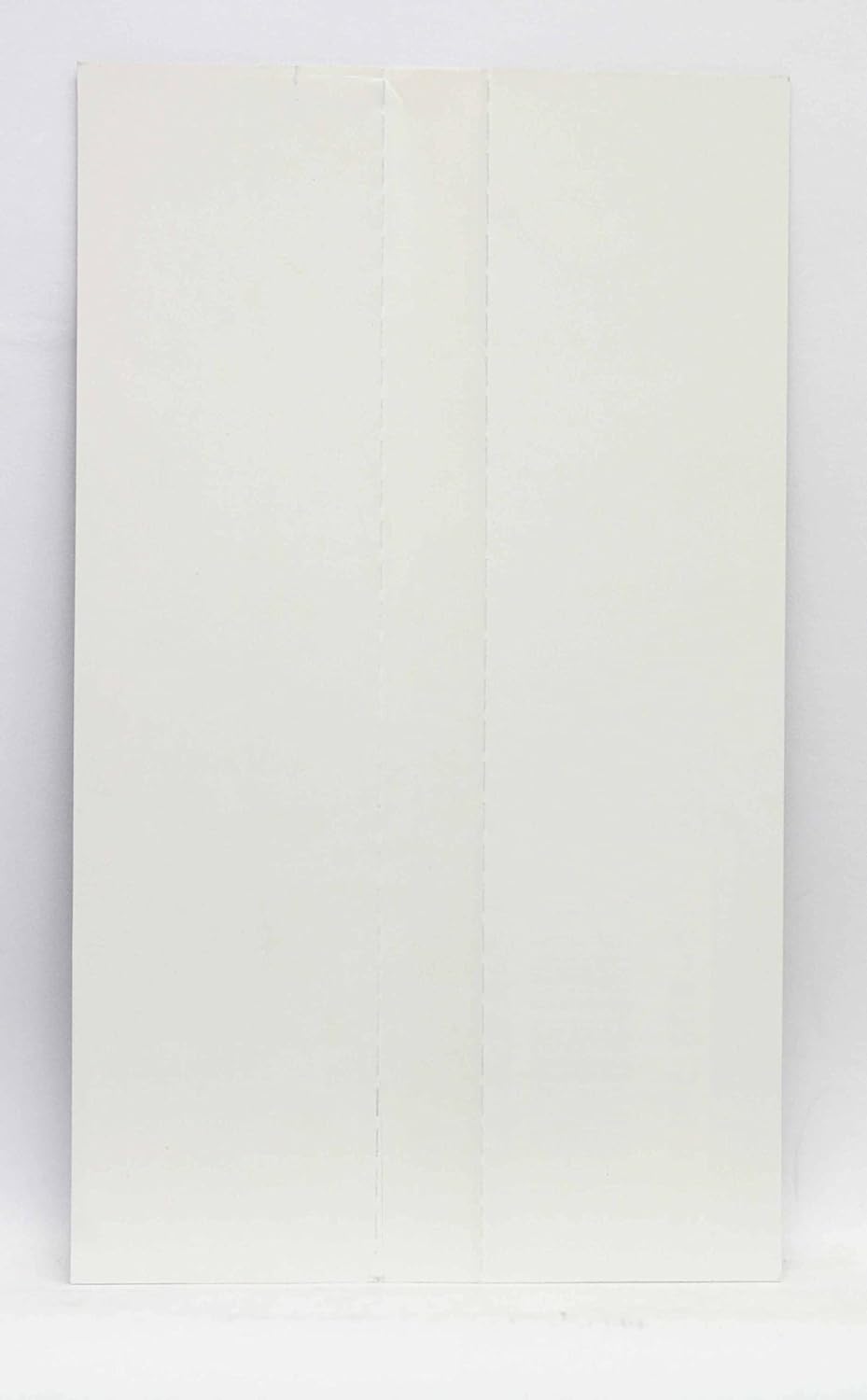 ジョイジョイキッド NCD 【NEOGEO】