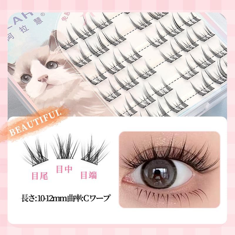 Sweet Night False Eyelashes, Black Color, Fans Spread, Fluffy, 3D, Lightweight, Reusable, Create a Bright Impression (02-Sun)