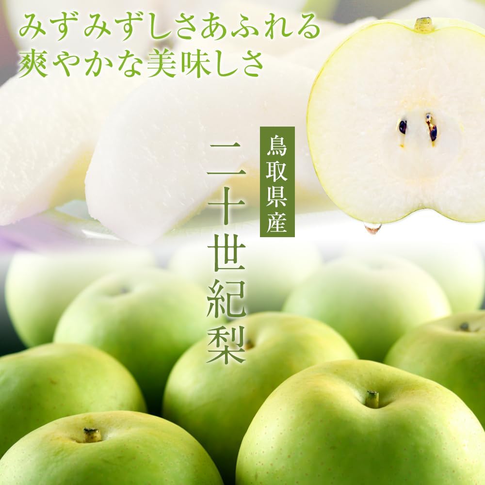 Flavorable Sanin Pear 20th Century Pear (20th Century Pear), 11.0 lbs (5 kg) Filled (Approx. 16 Balls), Produced in Tottori Prefecture, No Sublimation (for Home Use)