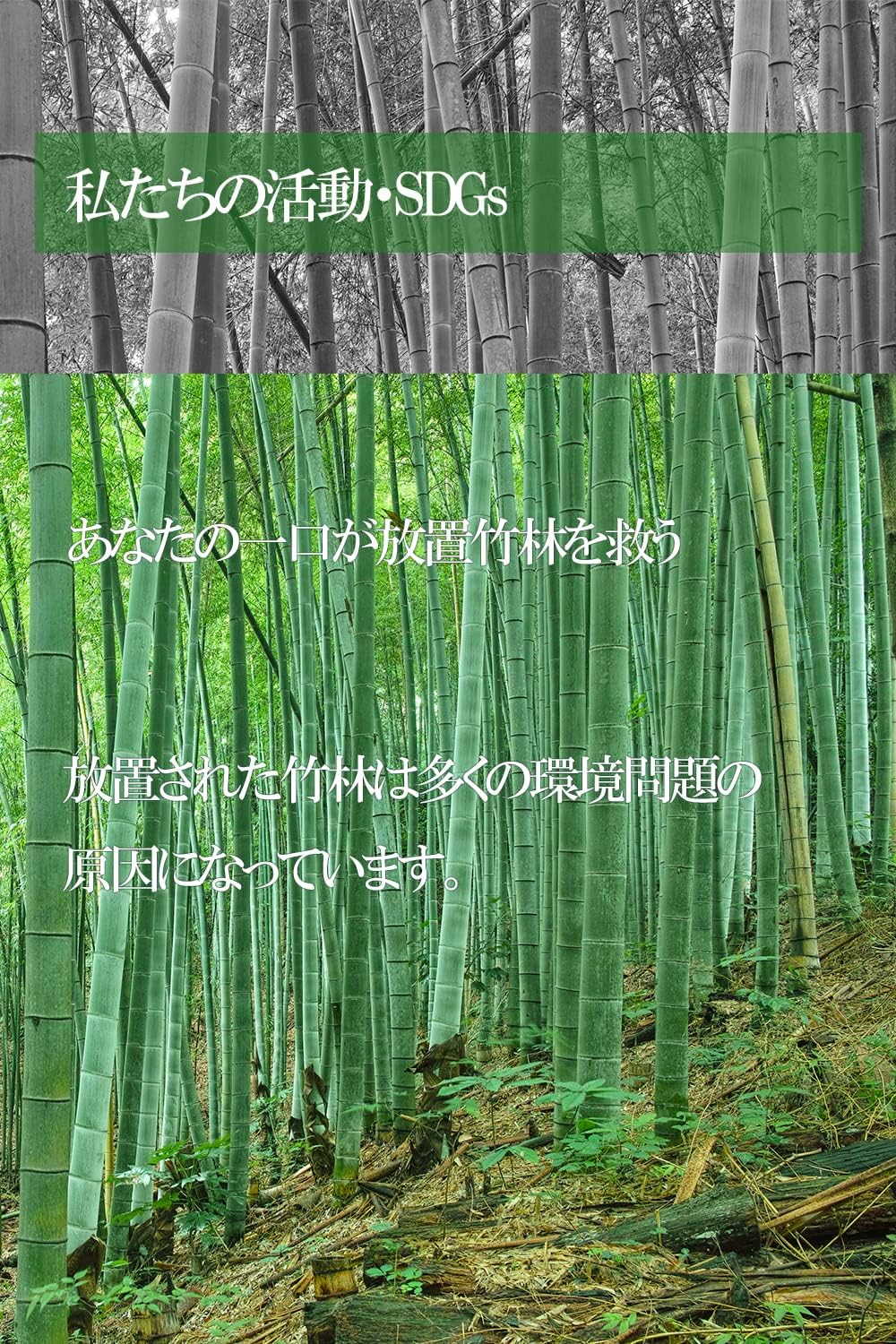 Takejiro Infinite Menma Domestic Itoshima-produced Snack Side dish Restaurant ITOSHIMA by Salute (4 soy sauce packs)