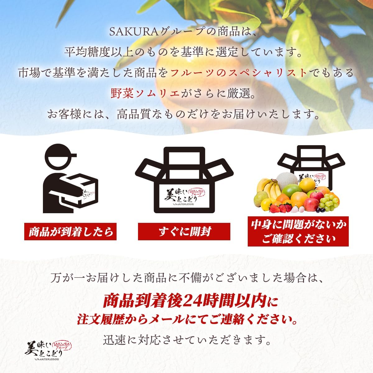 Kodama Watermelon, Fully Rawn, Luxury Akashiu S Rank 1 Piece, Approx. 2.6 - 4.0 lbs (1.2 - 1.8 kg), Can be ironed under the supervision of vegetable sommelier, select regions according to the season