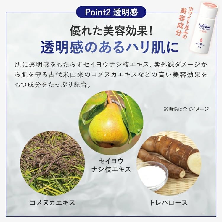 Papa Wash Free Bottle (Moist Type) ESS (Enzyme Facial Cleansing Powder, Enzyme Facial Cleanser, Pores)