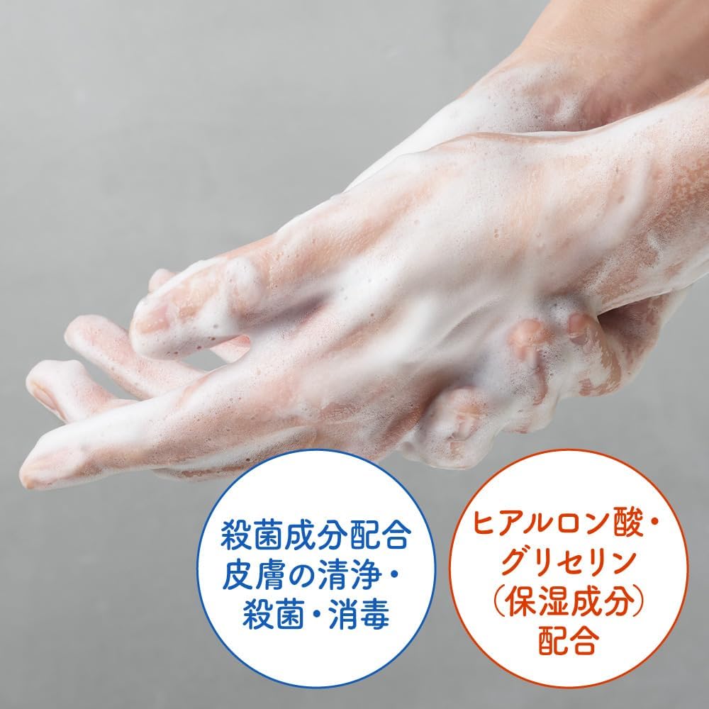 Biore The Hand Foaming Hand Soap, Alcoholic Broom Tea Scent, Pump 9.5 fl oz (280 ml) (Quasi-Drug)
