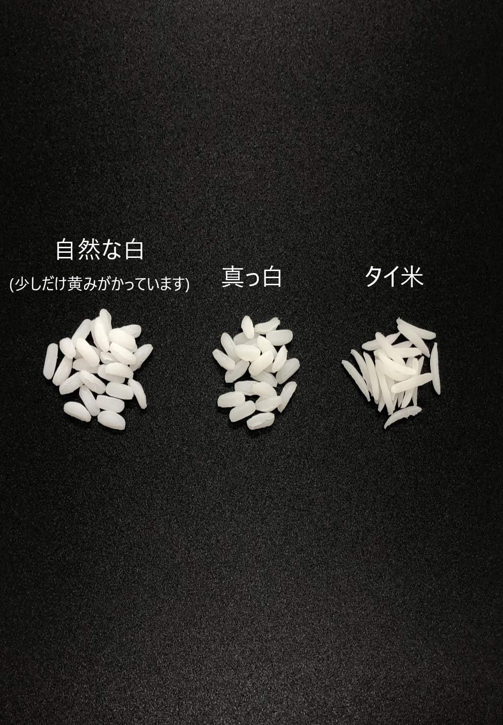 Food Sample Material Made in Japan Rice Natural White Standard 200g by Shokunin Sample Shop Yamato Soul
