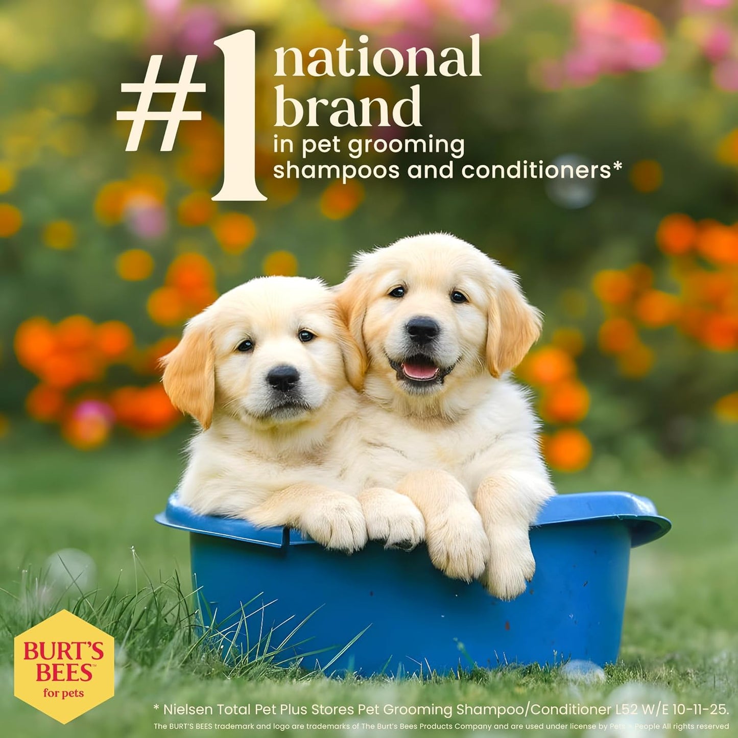 Burt's Bees for Pets Champú y acondicionador para cachorros sin lágrimas con suero de leche, champú suave 2 en 1 para cachorros, limpia y acondiciona la piel sensible, 16 onzas líquidas, paquete de 6