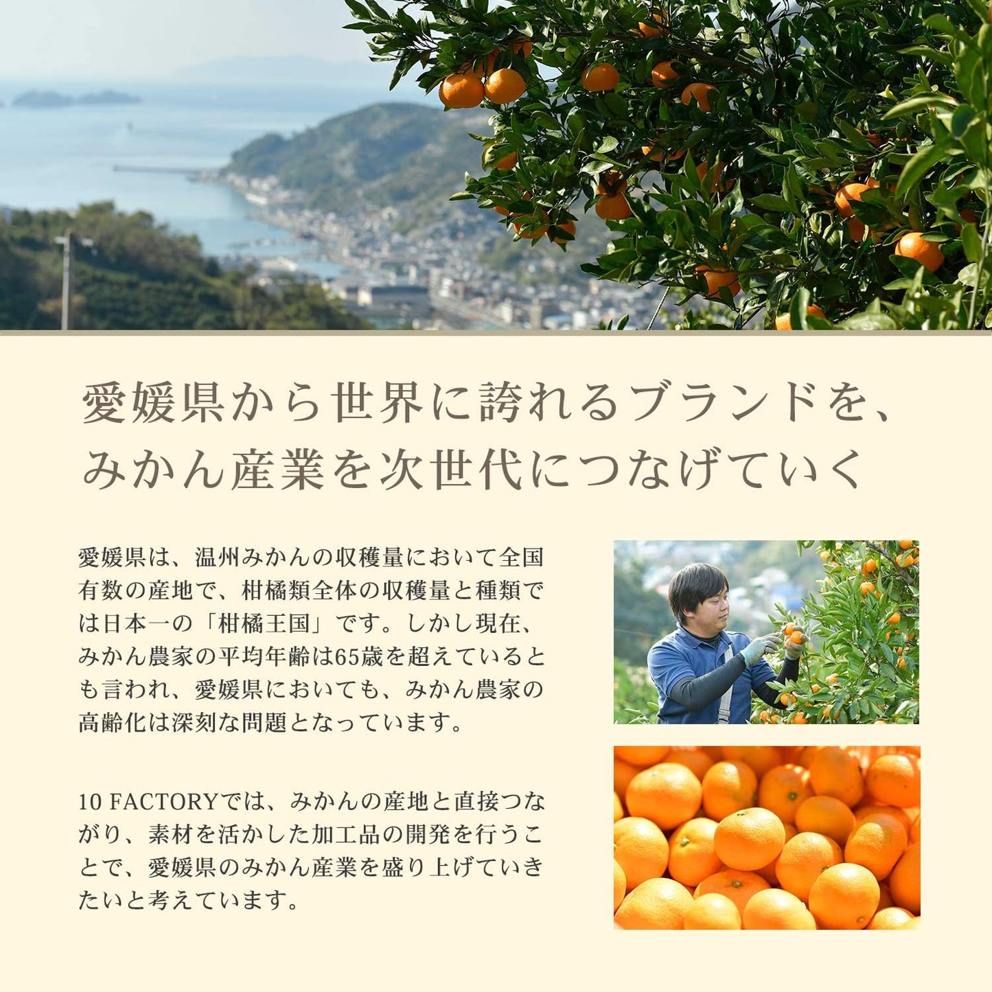10FACTORY Ehime Mikan Jelly, Set of 8 (7 Types), 6.0 oz (170 g), Ehime Product, Additive-Free, Fruit, Orange, Made in Japan, Handy Jelly (8 Pieces, 7 Types)