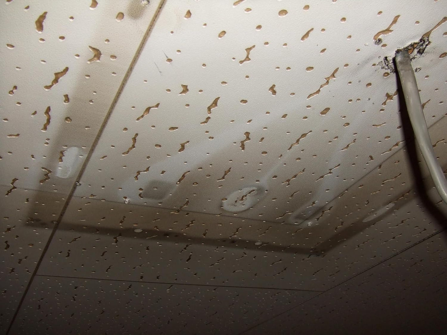 A Must Have Cleaning Item That Can Be Used Anywhere! All-Purpose Craftsmen Commercial Formula 4 L!