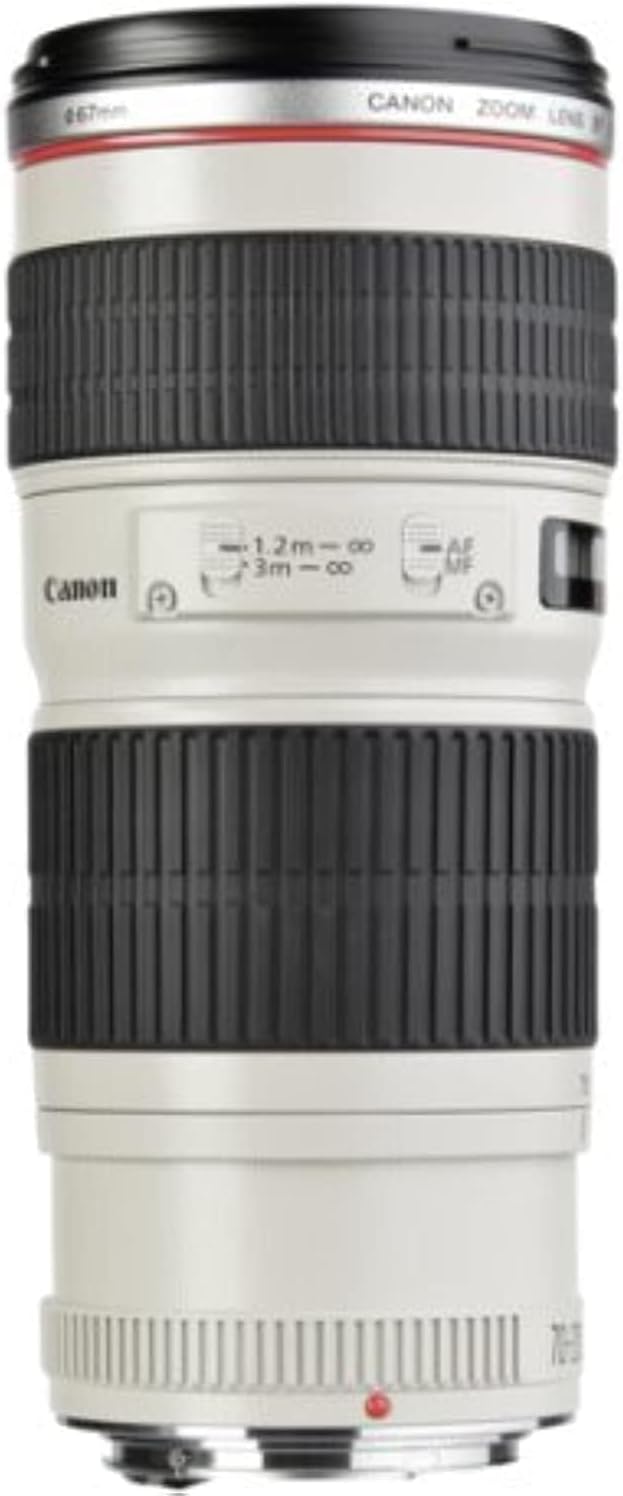 Canon 望遠ズームレンズ EF70-200mm F4.0L USM フルサイズ対応