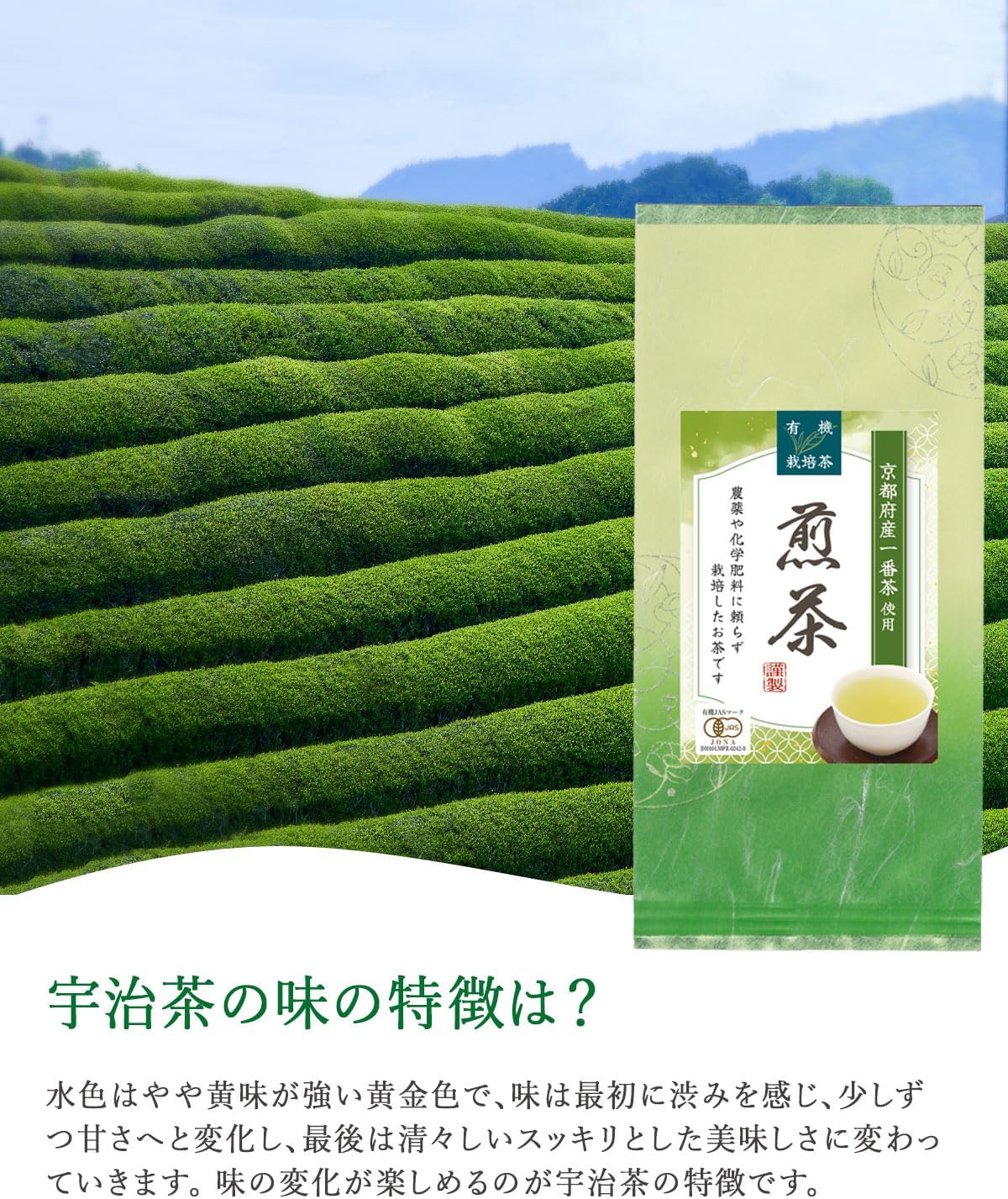 Organic Green Tea Sencha, Uji Tea, Organic JAS Certified, No Pesticides, No Chemical Fertilizer, Uses First Picking, 3.5 oz (100 g), Sencha (1 Bag)