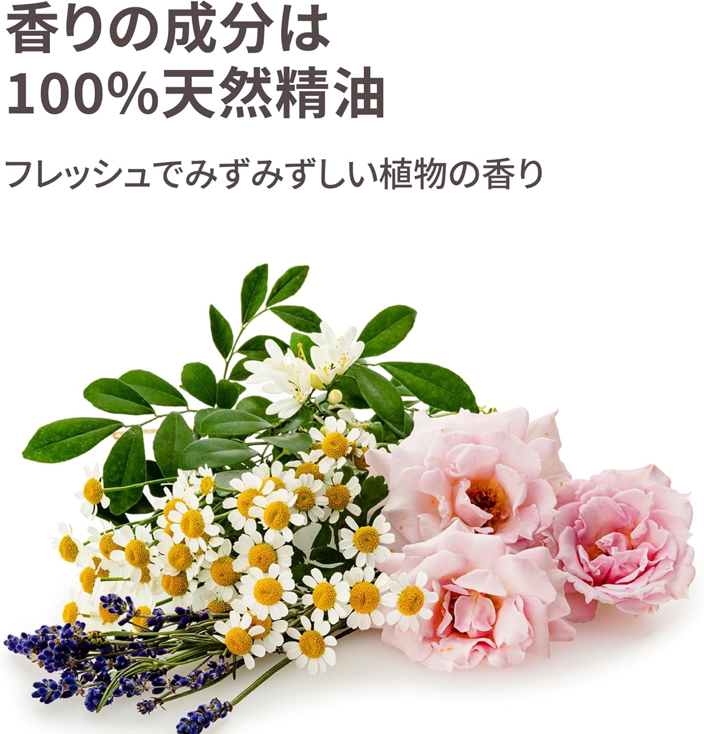 1598_WINTER SPARKLE Steam Cream, 2.6 oz (75 g), Official, Made in Japan, Steamcream, Moisturizing, For Face, Body, Hands, Oatmeal, Natural Essential Oil, Natural Ingredients, Gift