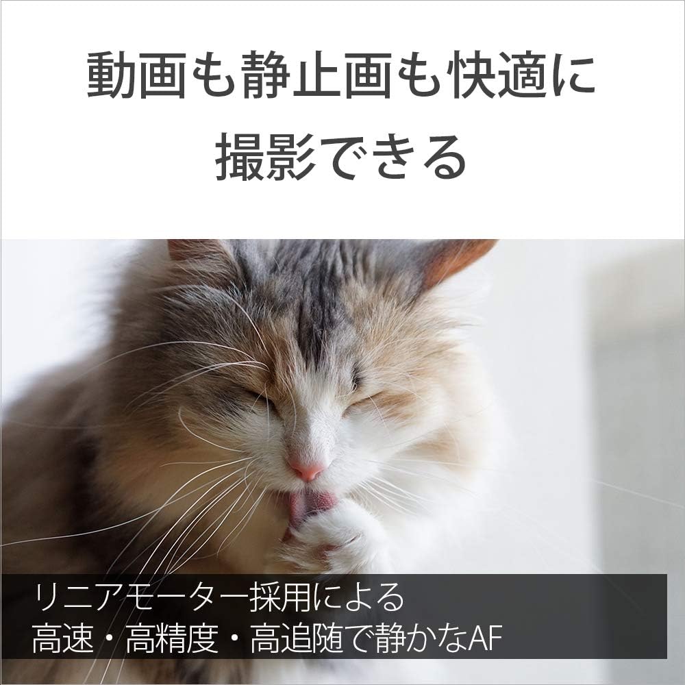 SONY(ソニー) 標準単焦点レンズ フルサイズ Sonnar T* FE 55mm F1.8 ZA ツァイスレンズ デジタル一眼カメラα[Eマウント]用 純正レンズ SEL55F18Z
