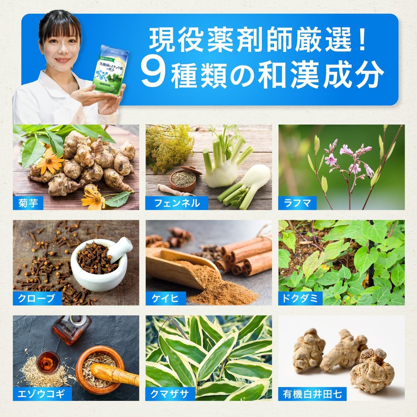 GABA K-1 Lactic Acid Bacteria & Ginkgo Leaf Blessing Food, Functional Claim, Convenient Intestinal Environment, Memory Power, Decision, Mental Stress & Fatigue, 60 Tablets