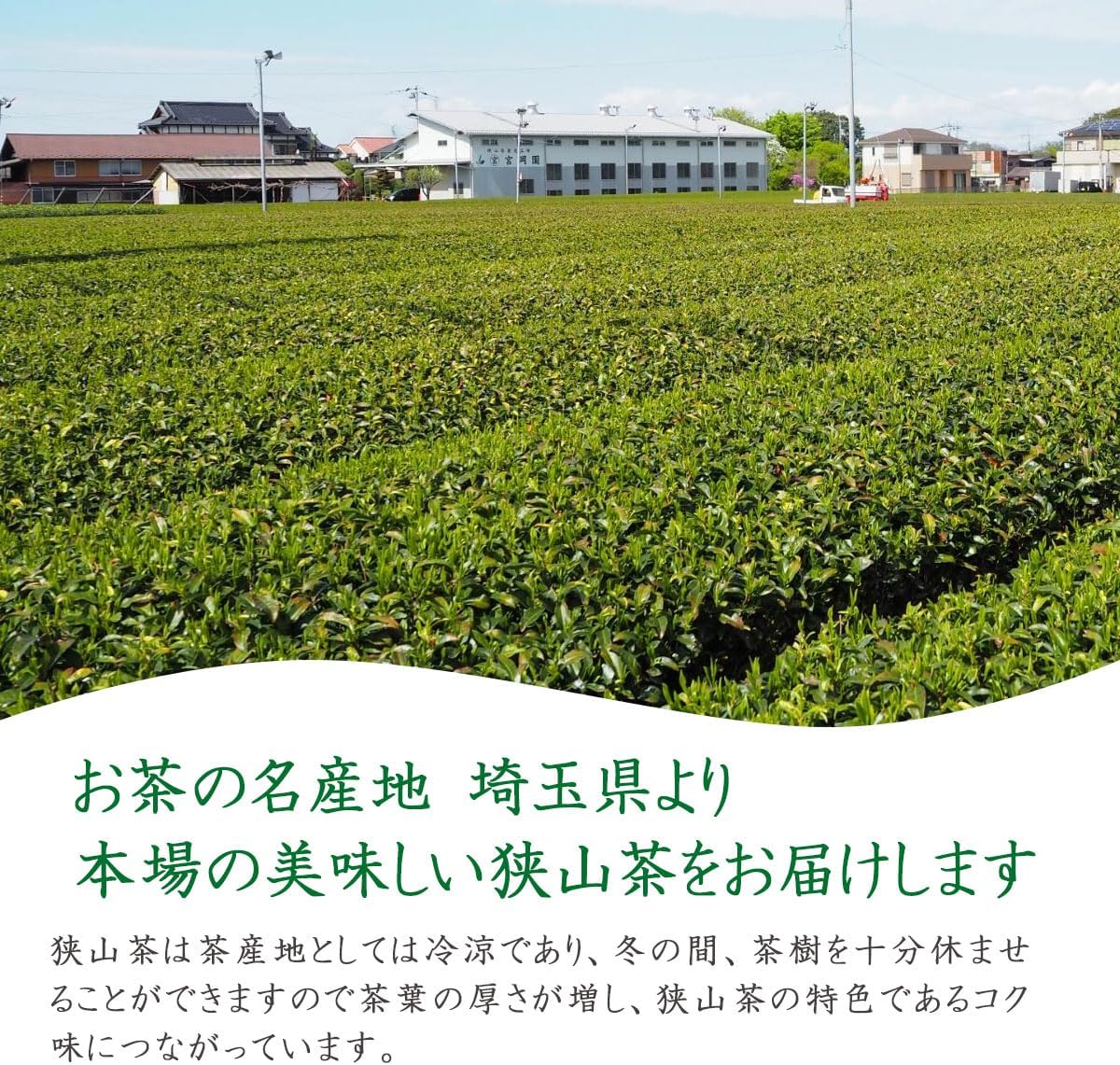 Nodayama Tea, Deep Steamed Tea, Japanese Tea, Green Tea, Sencha, Leaf Tea, Ichiban Tea, Sencha Leaf Tea, Made in Saitama Prefecture, Senior Tea, 3.5 oz (100 g) (1 Bag)
