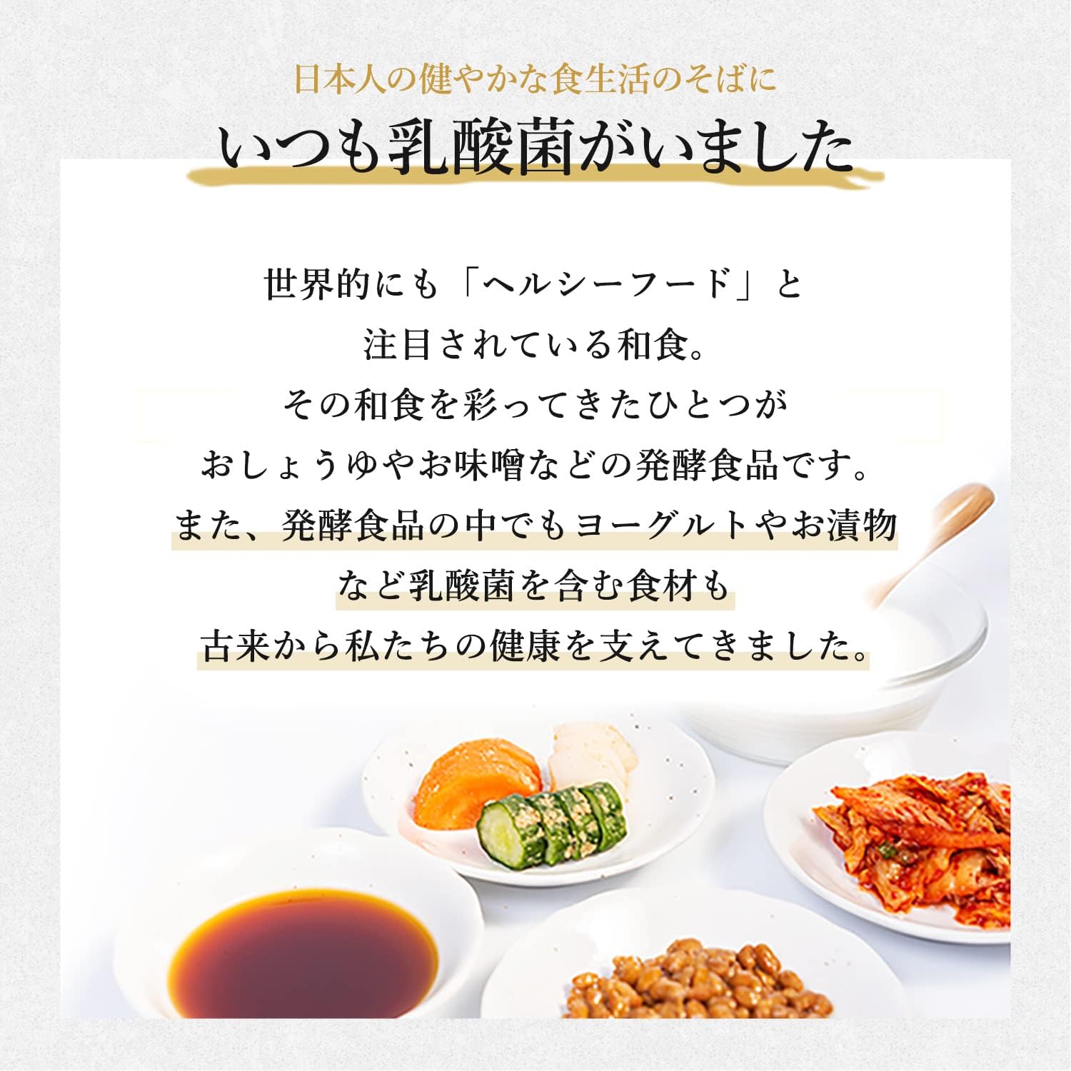 Morinaga Milk Industry Selected Lactic Acid Bacteria Shield Lactic Acid Bacteria Supplement, 1 Box (Approx. 30 Day Supply), Contains 10 Billion Pieces, Allergen-Free Supplement