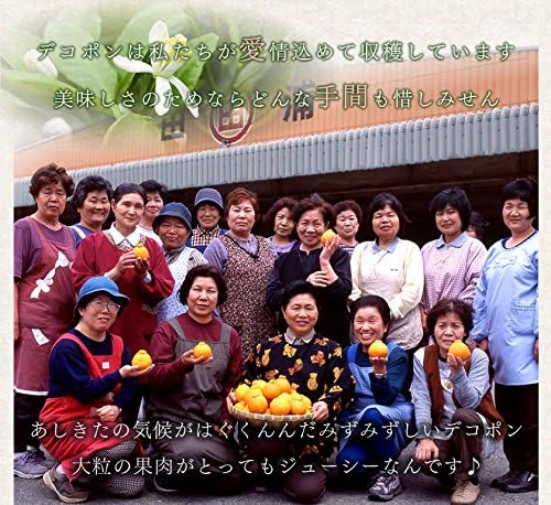 Kumamoto Kabo Dekopon Jelly Produced in Ashikita, Kumamoto Prefecture, 9 Pieces (Gift Boxed), Assorted Jelly Gift