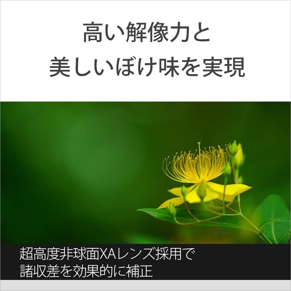 SONY(ソニー) 望遠ズームレンズ フルサイズ FE 70-200mm F2.8 GM OSS G Master デジタル一眼カメラα[Eマウント]用 純正レンズ SEL70200GM