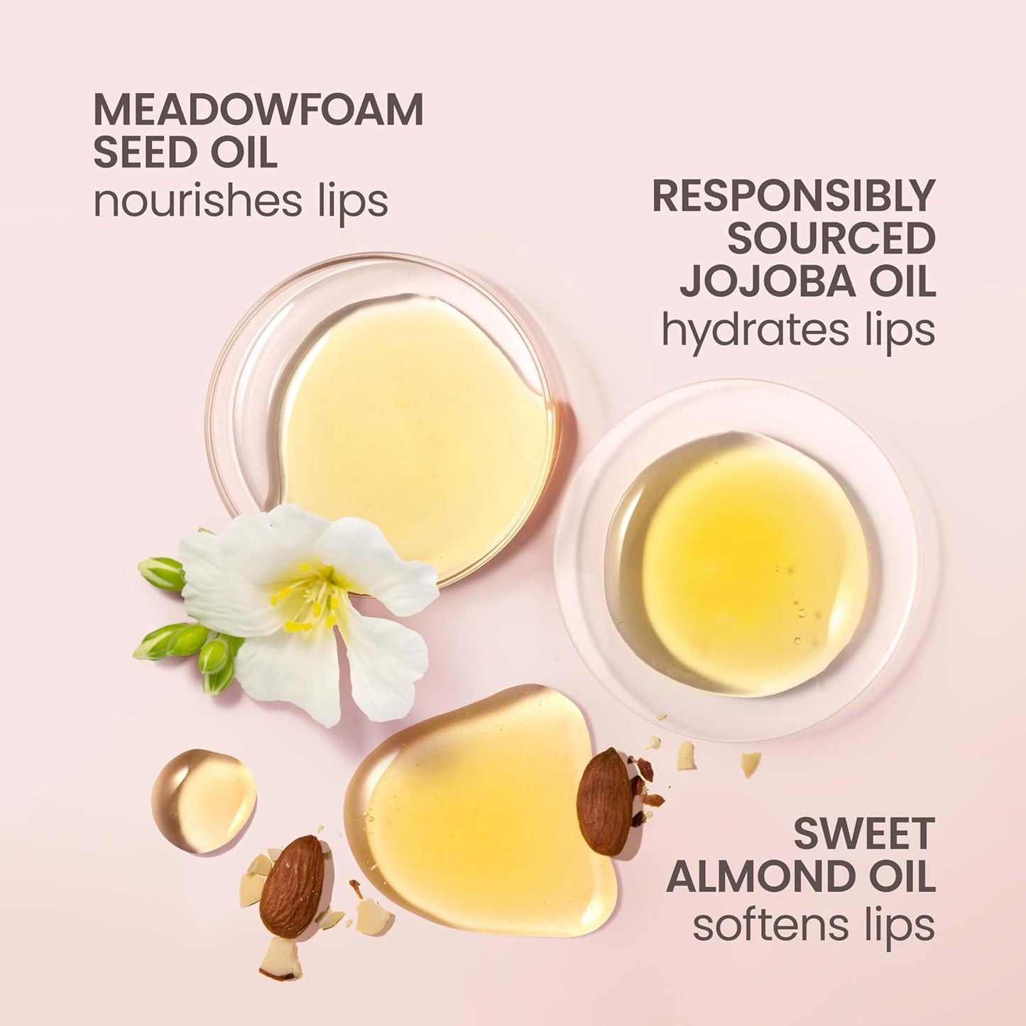 Burt's Bees Aceite Labial Plum Twilight, Hidratación Instantánea, Nutre y Suaviza los Labios, Toque de Color Transparente, Acabado de Alto Brillo, Aceite de Jojoba de Origen Responsable, No Pegajoso