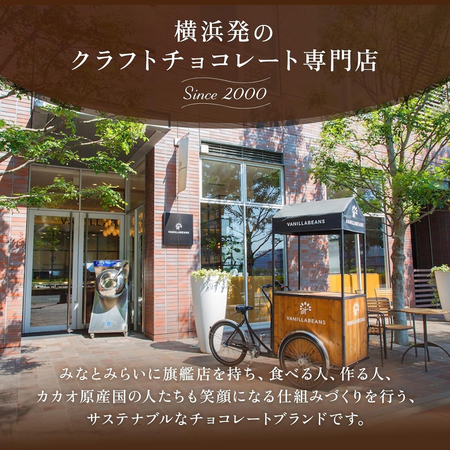 Vanilla Beans, Showcola (Set of 2), Chocolate Gift | お菓子 (手提げ袋付き 個包装) 詰め合わせ 菓子折り お返し プレゼント 手土産 スイーツ チョコ チョコサンド