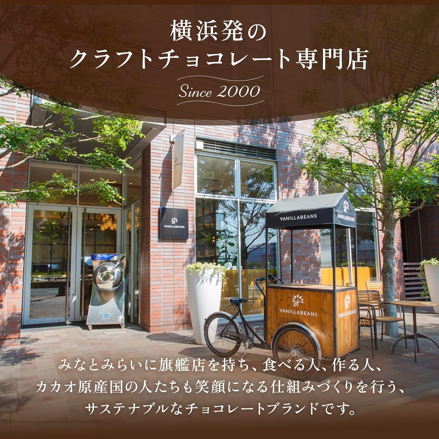 Vanilla Beans, Showcola (Set of 2), Chocolate Gift | お菓子 (手提げ袋付き 個包装) 詰め合わせ 菓子折り お返し プレゼント 手土産 スイーツ チョコ チョコサンド