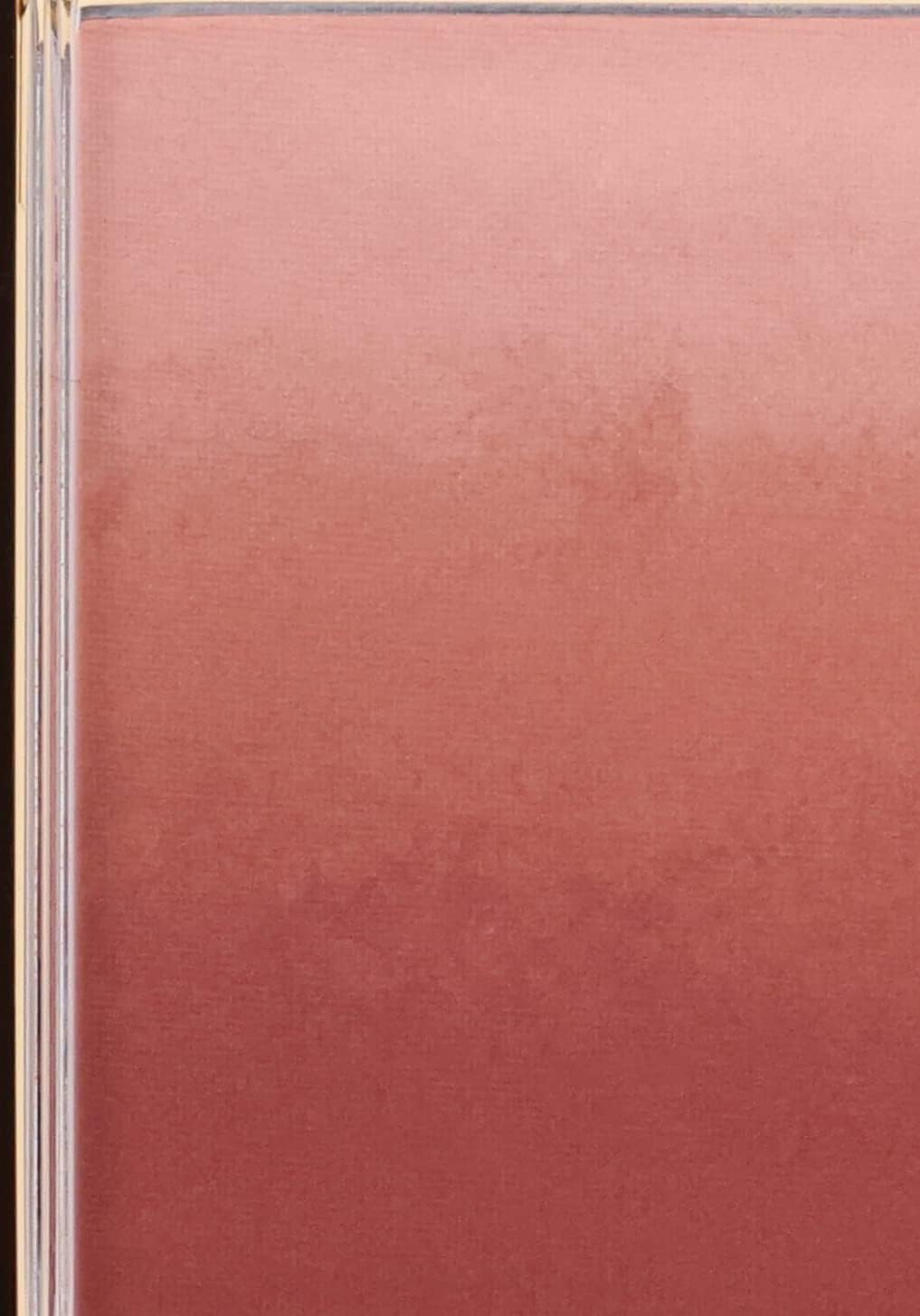 Excel Auratic Blush AB05 (Baked Cinnamon) Cheek