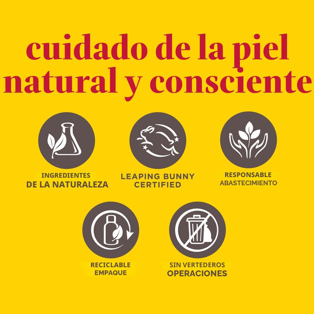 Burt's Bees Brillo de labios hidratante 100% natural, Pruna - 1 tubo