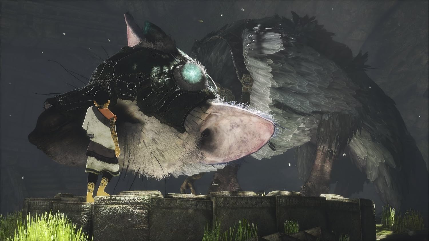 Hitokui no Owashi Trico (The Last Guardian) Initial Release Limited Edition [Early Purchase Bonus] Product Code Included for Downloading an "Original PlayStation 4 Theme" and "Mini Soundtrack" - PS4