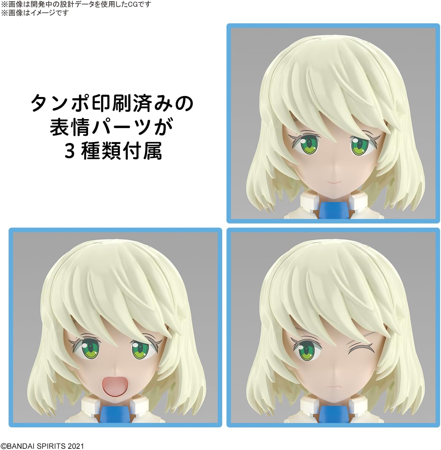 30MS SIS-Dc88w Eliene-Elliica (Elegante Foam) Color Coded Plastic Model