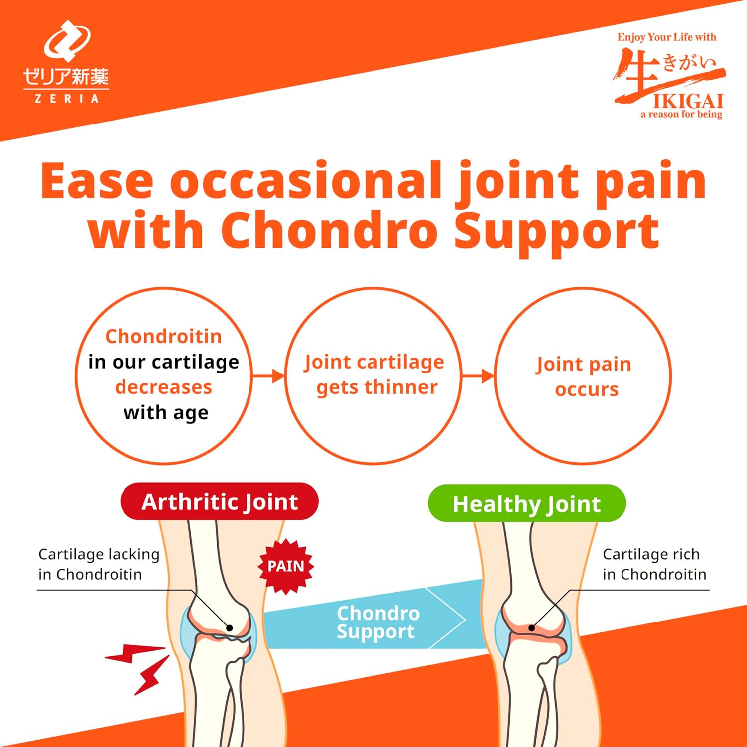 Condro Support 288 Tablets