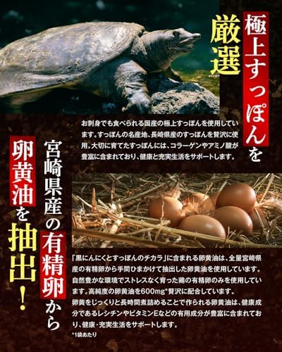 【Amazon限定セット】グルコサミンのチカラ × 黒ニンニクとすっぽんのチカラ プロテオグリカン グルコサミン 非変性Ⅱ型 コラー 関節 サプリ30日分 60粒 ヒアルロン酸 国内製造 青森県産黒にんにく 長崎県産すっぽん 熊本県産卵黄油 サプリ 瀬戸内海産牡蠣エキス 島根県産シジミエキス 和歌山県産完熟梅 亜麻仁油
