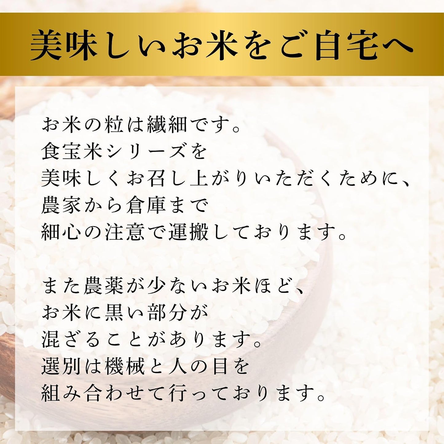 Denba Shinoyama Food Treasure Rice Produced in Hyogo Prefecture, Koshihikari Gift, Japanese Treasure 4.4 lbs (2 kg), Produced in Reiwa 7 Year | Rare Rice with 6 Years Continuous Special A Rating:
