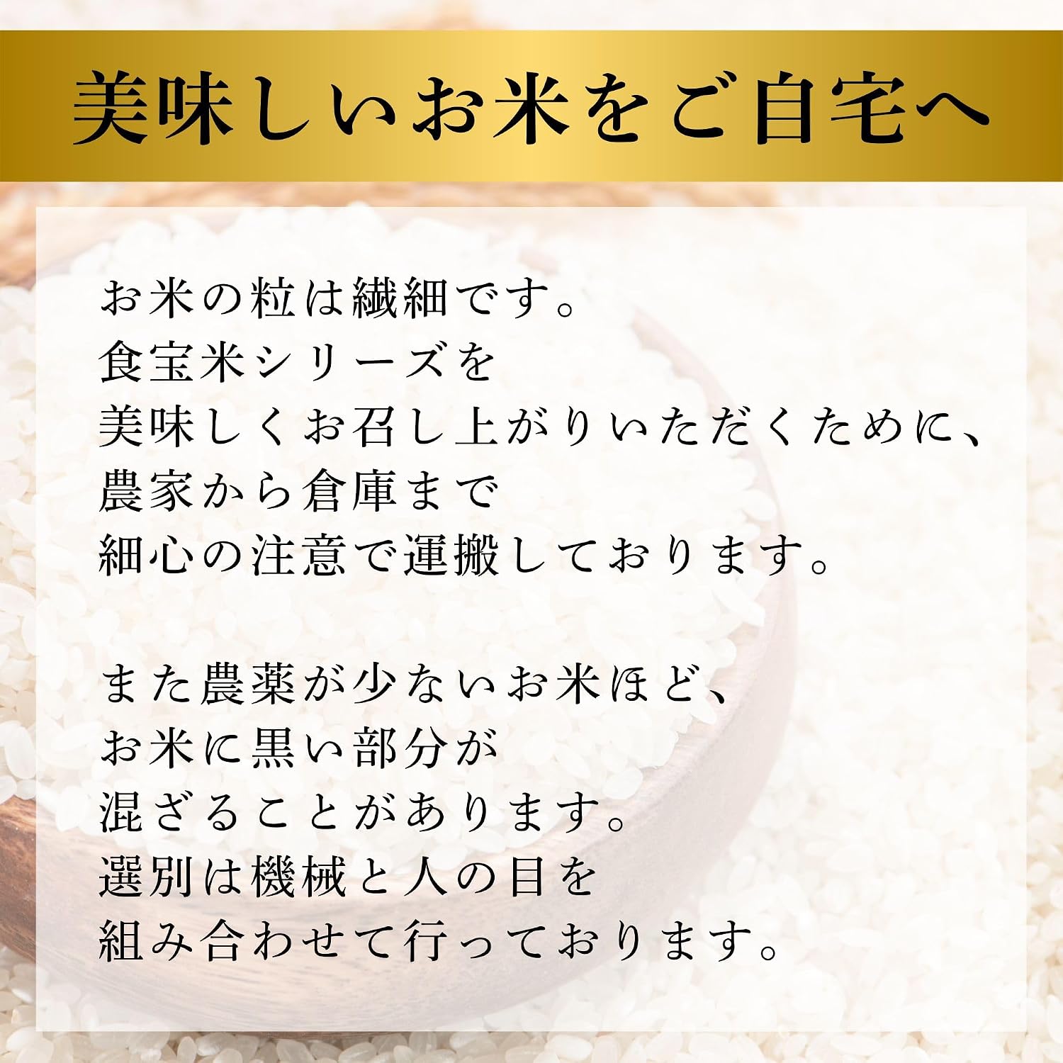 Denba Shinoyama Food Treasure Rice Produced in Hyogo Prefecture, Koshihikari Gift, Japanese Treasure 4.4 lbs (2 kg), Produced in Reiwa 7 Year | Rare Rice with 6 Years Continuous Special A Rating: