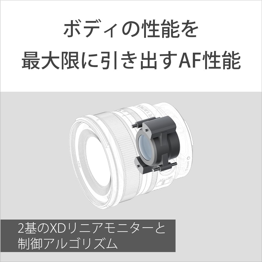 Sony SEL16F18G Wide Angle Monofocal Lens Full Size FE 16mm F1.8G G Lens for Digital SLR Camera α [E-Mount] Genuine Lens