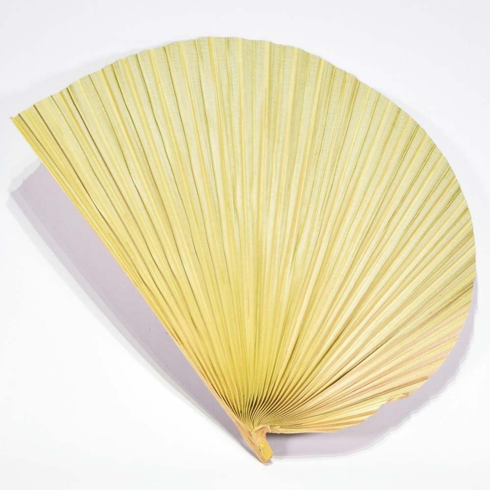 Kubakasaya Fan, Kuba Fan, Traditional Crafts, Folk Art, Okinawa, Ryukyu, Okinawa Souvenir, Souvenir, Large