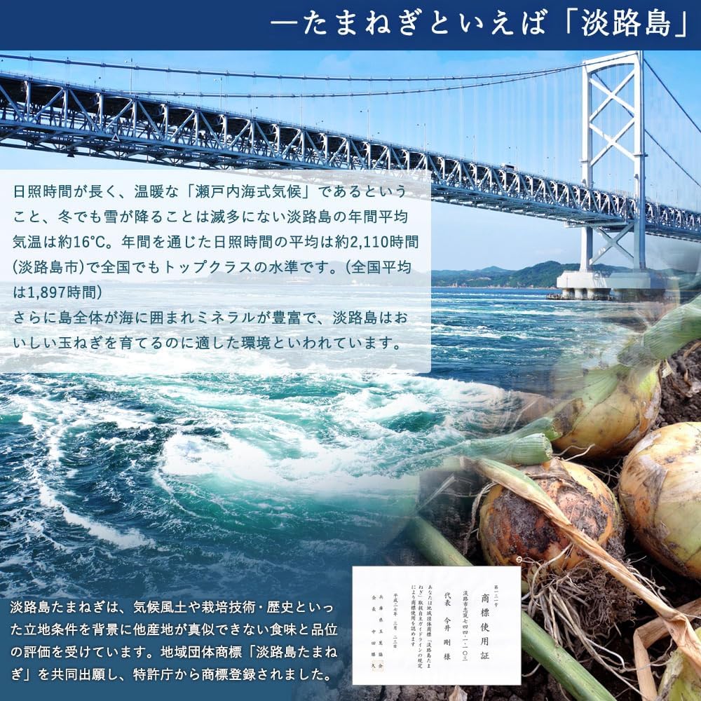 Onion Soup Tanji Island Onion Powder Soup, Onion Easy (1 Month Supply) [Imaai Farm] #30 Onion Soup #