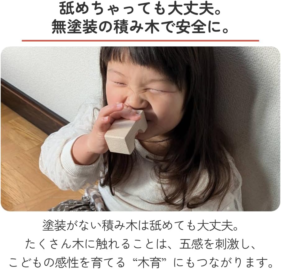 Sakai Sangyo Gujo Hachiman, Made in Japan, With Car Sewing Wood, 48 Pieces, Recommended Age: 18 months, 1 and a half, 2 years old, 3 years old, unpainted, birthday, building blocks, wooden toy,