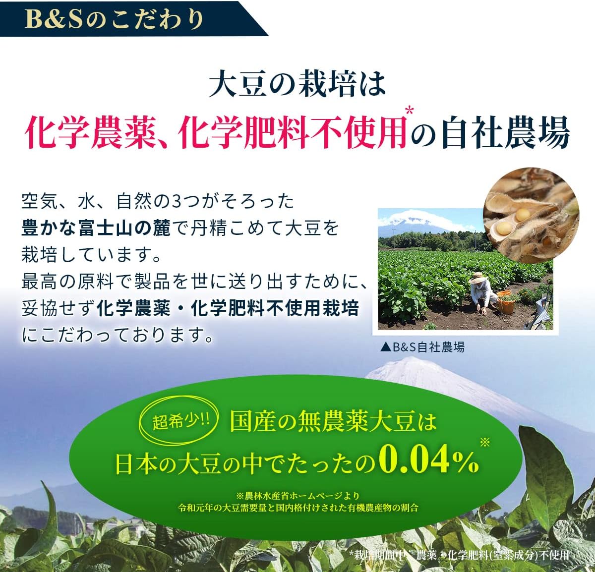 Chitsu Lactic Acid Bacteria Producing Extract, 0.3 fl oz (10 ml) x 6 Bottles, For About 1 Month Use, Bifidobacterium Probiotics, Lactic Acid Bacterium Drink
