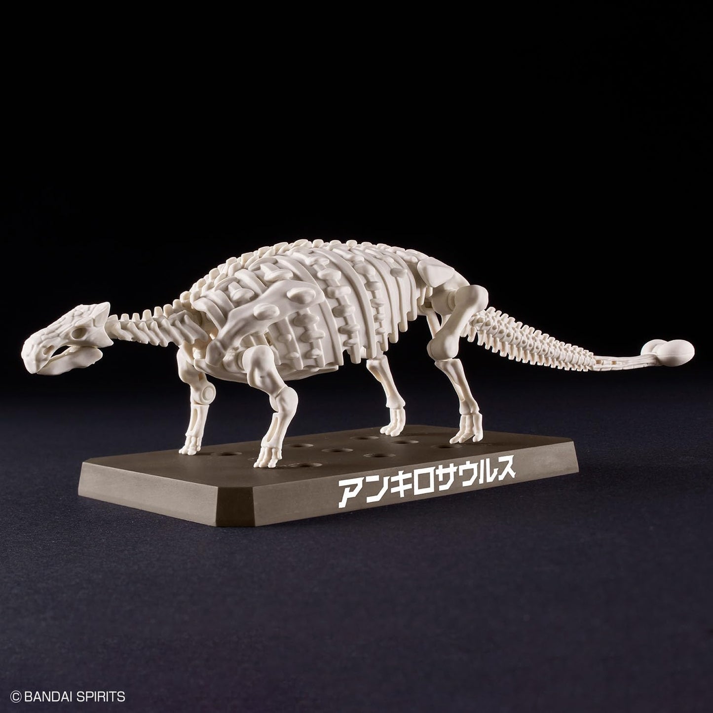 Bandai Spirits Planosaurus Ankyrosaurus Color Coded Plastic Model